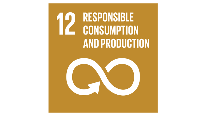 12 - Responsible consumption and production