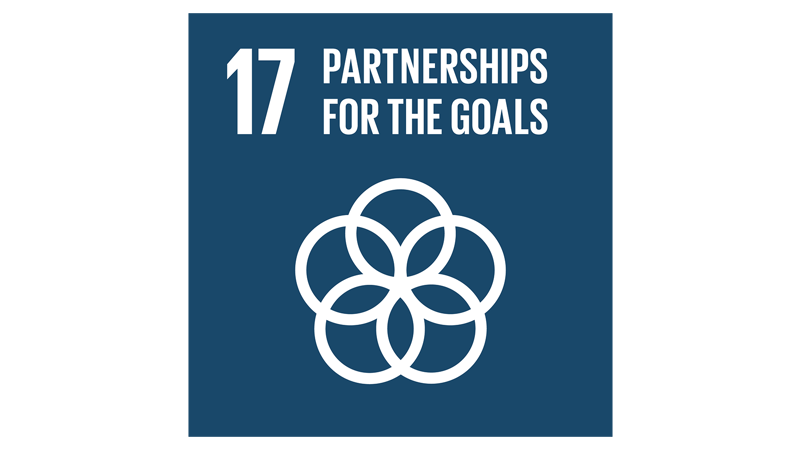 17 - Partnerships for the goals